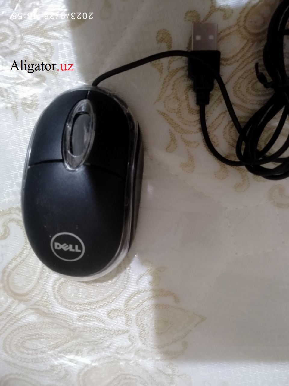 dell karobka miw_2023-09-28_18-27-17.jpg